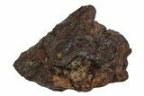 Polished Stony-Iron Mesosiderite Meteorite ( grams) - Chile #242897-1